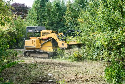 Forestry Clearing in Katy, TX